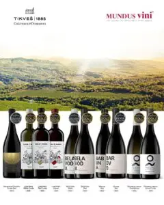 Седум „злата“ и три сребрени признанија: Врвните вина на „Тиквеш“ брилираа на Mundus Vini Spring Tasting 2026