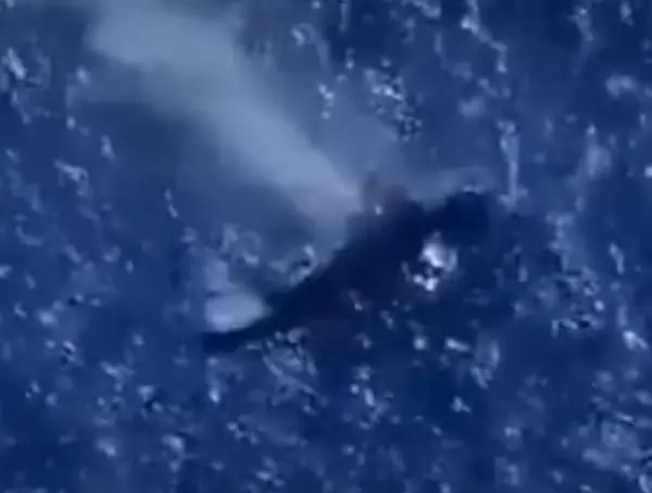 Речиси 150 лица се водат како исчезнати откако ирански воен брод потона кај Шри Ланка