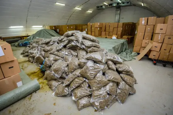 Алиу: На уште три компании за одгледување марухуана ќе им се одземат лиценците, а уште една се анализира