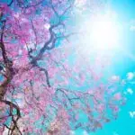 Сончево и топло со температури до 18 степени