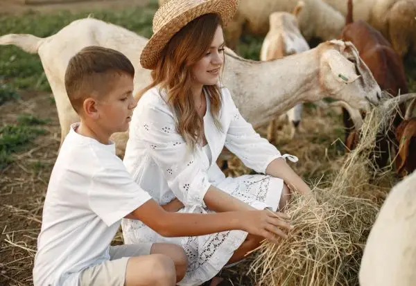 Оваа земја со закон го штити животот на село - звуците и мирисот на село се национално наследство