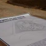 Образованието е фундамент на секоја земја, затоа младите се во фокусот на оваа Влада, вели Мицкоски