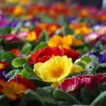 Најубави цитати за жените во пресрет на 8 Март