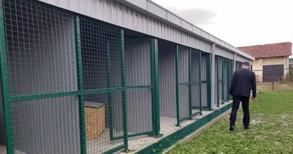 "Хачико" со демант - Лага е дека исто куче ги касна двете деца во населбата Баир во Битола