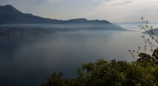 Истражување: Светските езера се загрозени од ширење на големи инвазивни животни