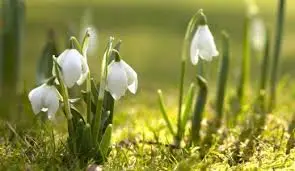 Сончево и топло, наутро – 4 степени, преку ден до 21