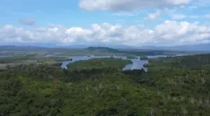 ВИДЕО | Трансформација што фасцинира: За само пет години, уништената земја во Индонезија повторно се претвори во рај