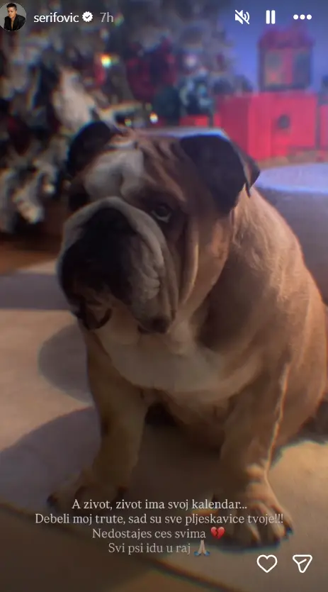 (ФОТО) Тага во домот на Марија Шерифовиќ: На сите ќе им недостигаш