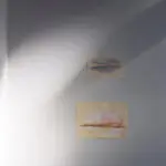 „Фрагменти на постанувањето“ на Наталија Зафироска во „Пионери“