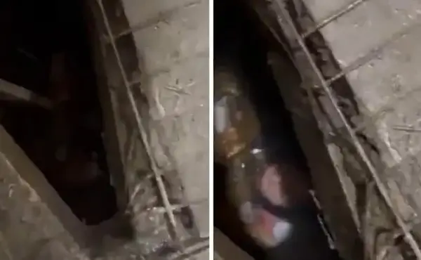 Девојка преживеала хорор- 48 часа била заробена во септичка јама на јавен тоалет (ВИДЕО)