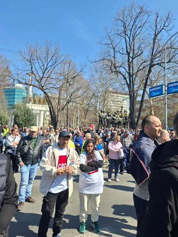 Со партиски обележја на СДСМ на протест на ССМ
