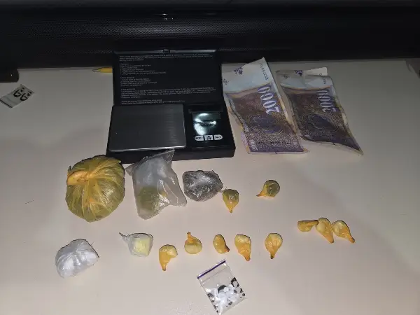 Приведен кумановец, при претрес во домот пронајдени повеќе видови дрога