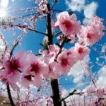 Променливо облачно време со повремени дождови и засилен ветер во среда и четврток