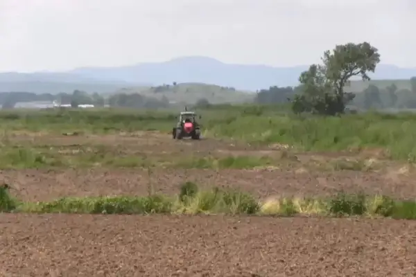 Министерство за земјоделство: Исплатени над 280 милиони денари кон повеќе од 4.700 корисници