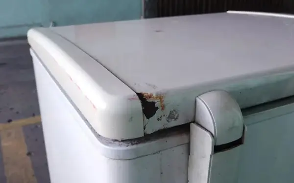 Жена во замрзнувач криела 100 мртви мачки, полицајците шокирани(ФОТО)