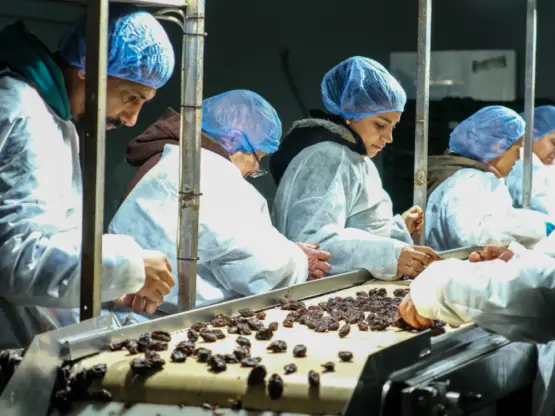 Од хартија до QR кодови - како македонска компанија стана лидер во дигитализацијата