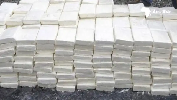 Рекордна заплена во Денкерк: Француските цариници во февруари открија 13 тони кокаин