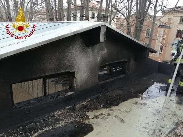 Се запали српскиот павилјон на Венециското биенале