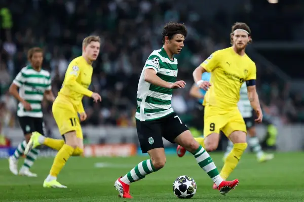 Кнутсен: Изгубивме затоа што игравме претпазливо