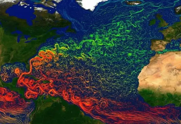 Голфската струја се поместува, а тоа можеби е сигнал за најопасното сценарио