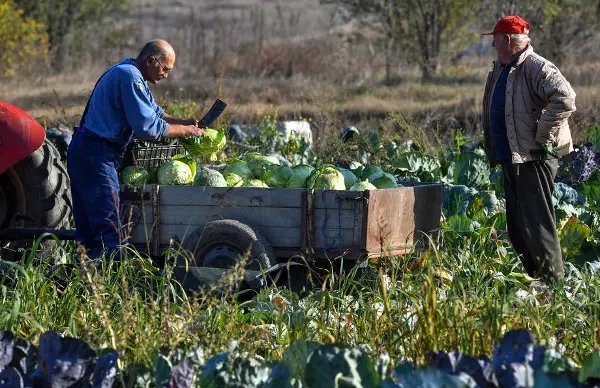 Ќе има зголемување на цените на земјоделските производи