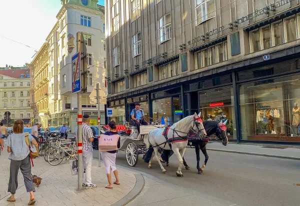 Речиси две третини од жителите на Виена ретко или никогаш не користат автомобил