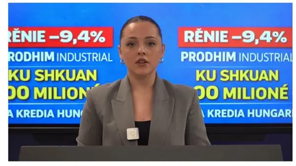 ДУИ: Пад од дури 9,4% на индустриското производство