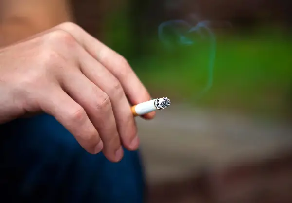 Новиот закон за пушење на 24-ти март на владина седница