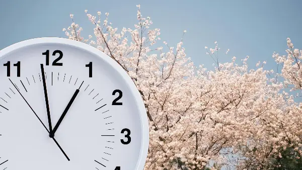 Почнува пролетта