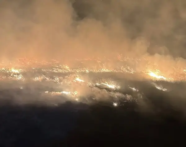 Опожарени дваесетина хектари нискостеблеста шума и сува трева во Макреш, Старо Нагоричане