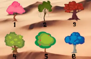 Психолошки тест кој го „отклучува“ вашиот потенцијал: Изберете дрво и откријте ја својата најголема моќ