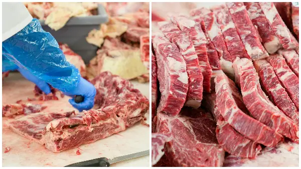 АХВ стопираше 50 тони храна - Забранет увоз на месо со сомнително потекло и ореви без стандарди