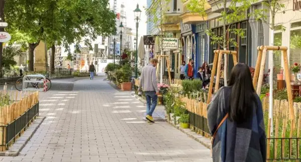 ВИЕНА ПРЕТВОРА ПАРКИНГ МЕСТА ВО ЗЕЛЕНИ И ЈАВНИ ПОВРШИНИ, И ГРУПИ ГРАЃАНИ МОЖАТ ДА ГО ПОБАРААТ ОВА ОД ЛОКАЛНИТЕ ВЛАСТИ