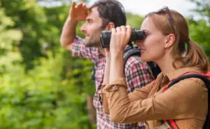 Како набљудувањето птици го „тренира“ мозокот и го штити од стареење?