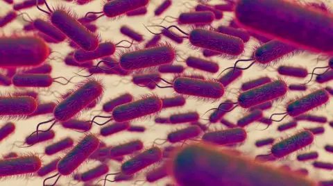 Некои бактерии можат да преживеат меѓупланетарни патувања