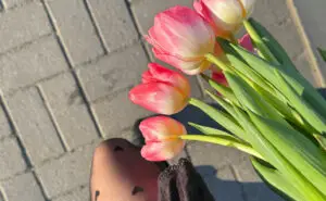 Најубавото пролетно цвеќе: Осум совети за подолготрајни лалиња во вашиот дом