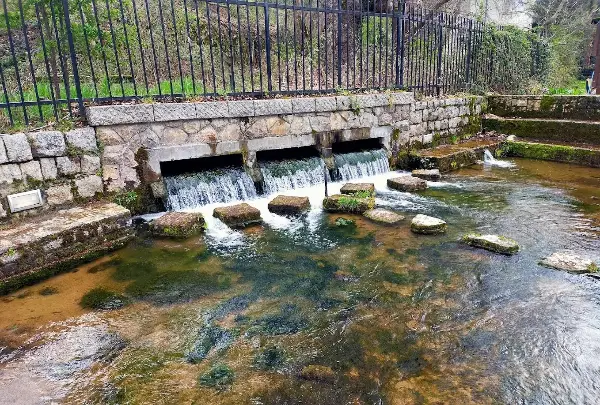 „Охрид СОС“ бара да се направат заштитни зони околу Билјанини Извори за да се зачува питката вода