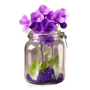 Најдобриот лек за респираторни проблеми расте во дворот: Штотуку му почна сезозната