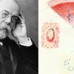 Македонија со мала инциденца на Туберкулоза