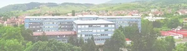 До попладнево уште триесетина работници од рудникот во РЕК Битола побарале лекарска помош