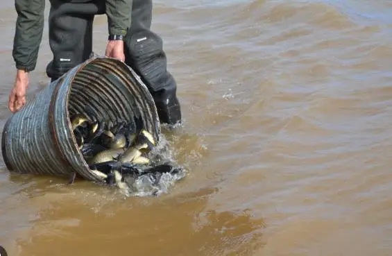 Меморандум за соработка во пресрет на Светското првенство во риболов на крап во Маврово