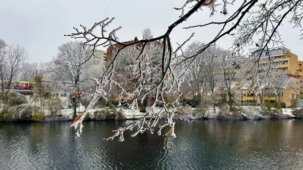 Сообраќајот по влажни коловози, на неколку планински превои има врнежи од снег