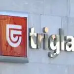 Заваровалница Триглав предложува бруто дивиденда од 3,00 евра по акција