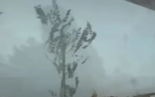 СИЛНА БУРА ЈА ПОГОДИ СЛОВЕНИЈА Ветер над 100 км/ч, илјадници без струја