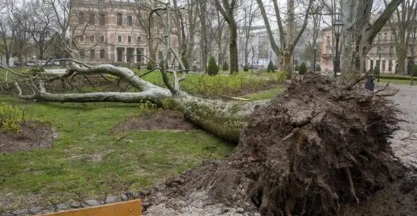 Во невремето во Хрватска оштетени 40 основни и средни училишта, како и 24 градинки