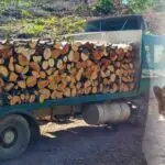 Три лица осомничени за злоупотреби во „Национални шуми“