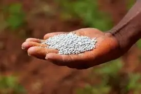 Војната во Иран го поскапе вештачкото ѓубриво – загриженост од зголемување на цените на храната