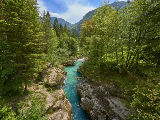 Дигитален детокс во Словенија: најубавите оази каде што нема да сакате сигнал