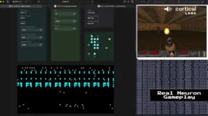 ВИДЕО: Научниците создадоа „жив компјутер без мозок“