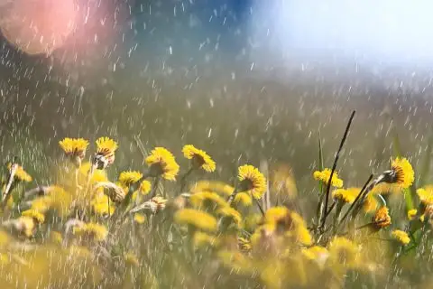 Какво време не очекува утре и во следните денови?